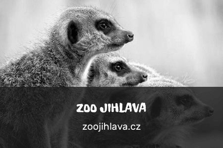 zoo_Jihlava_gray