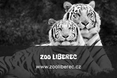 zoo_Liberec_gray