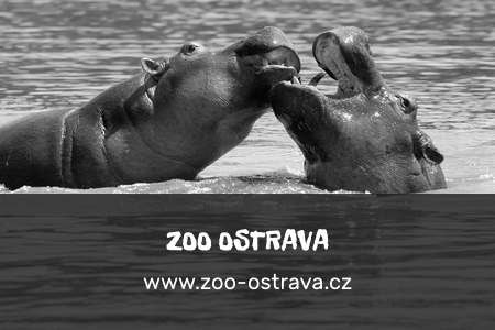 zoo_Ostrava_gray