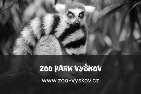 zoo_Vyskov_gray