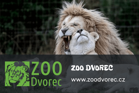 Zoo Dvorec - partner Pojďme do zoo™