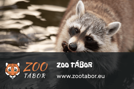 ZOO Tábor - partner Pojďme do zoo™